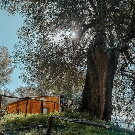 Campsite Wild Village Cilento Pisciotta